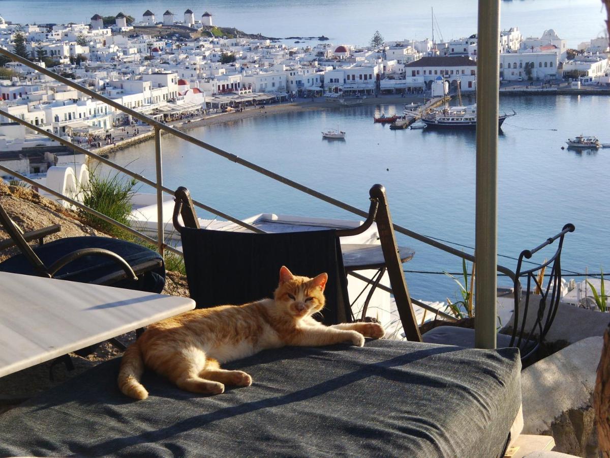 شقة Anemones Sea View Mykonos Town المظهر الخارجي الصورة